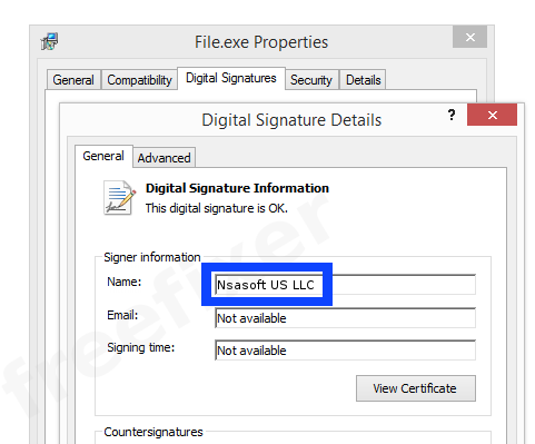 Screenshot of the Nsasoft US LLC certificate